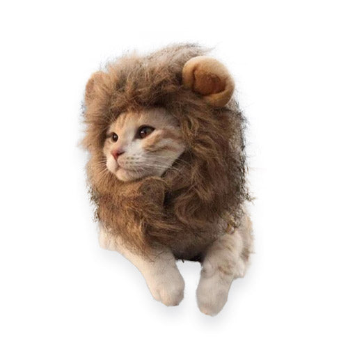 Lion Mane Wig for small pets