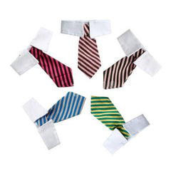 Tie for Dog / Cat