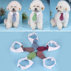 Tie for Dog / Cat