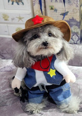 Cowboy Halloween Pet Costume