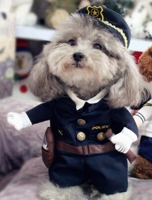 Policeman - Halloween Pet Costume