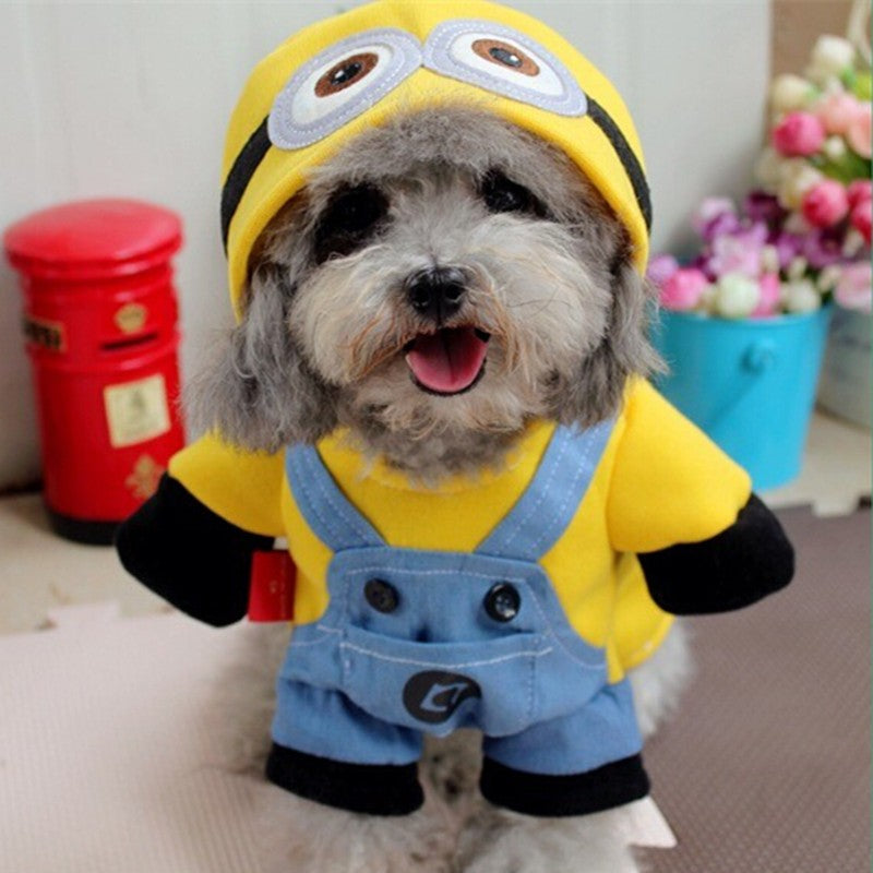 Minion  Pet Costume