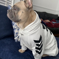 'woof white' dog hoodie
