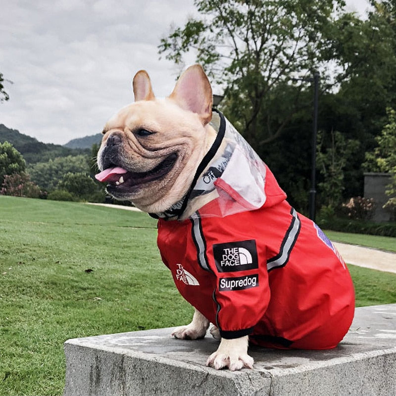 The Dog Face red raincoat with transparent visor