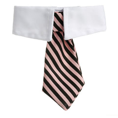 Tie for Dog / Cat