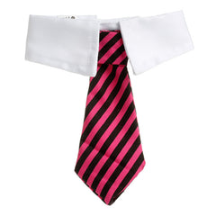 Tie for Dog / Cat