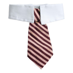 Tie for Dog / Cat