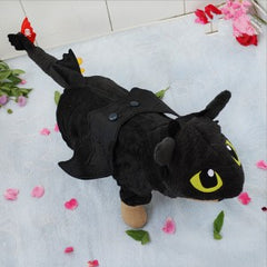 Fly Dragon Costume - Dark color