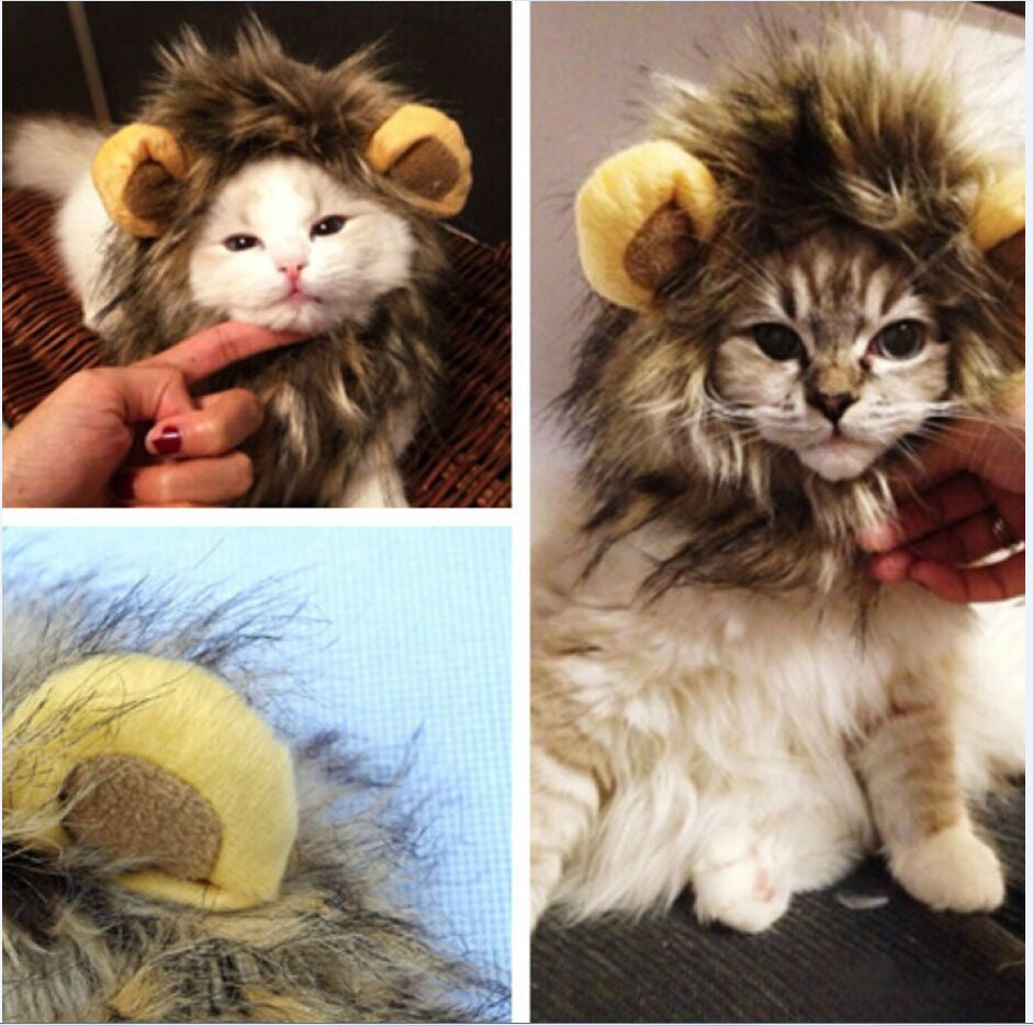 Lion Mane Wig for small pets