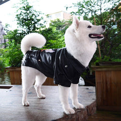 Stylish Leather Jacket for big dogs