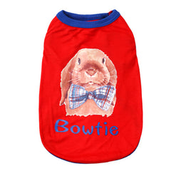 Rabbit with Bowtie - Small Pet Clothes