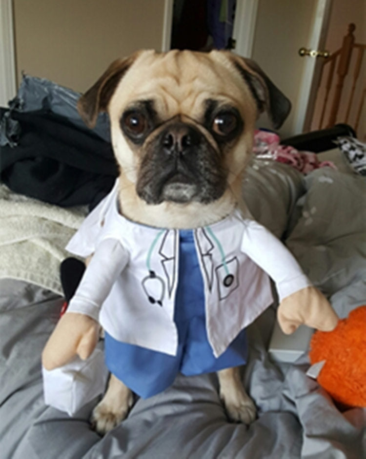Doctor Halloween Pet Costume