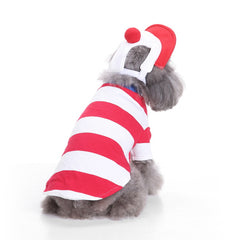 Where's Wally? Pet Costume