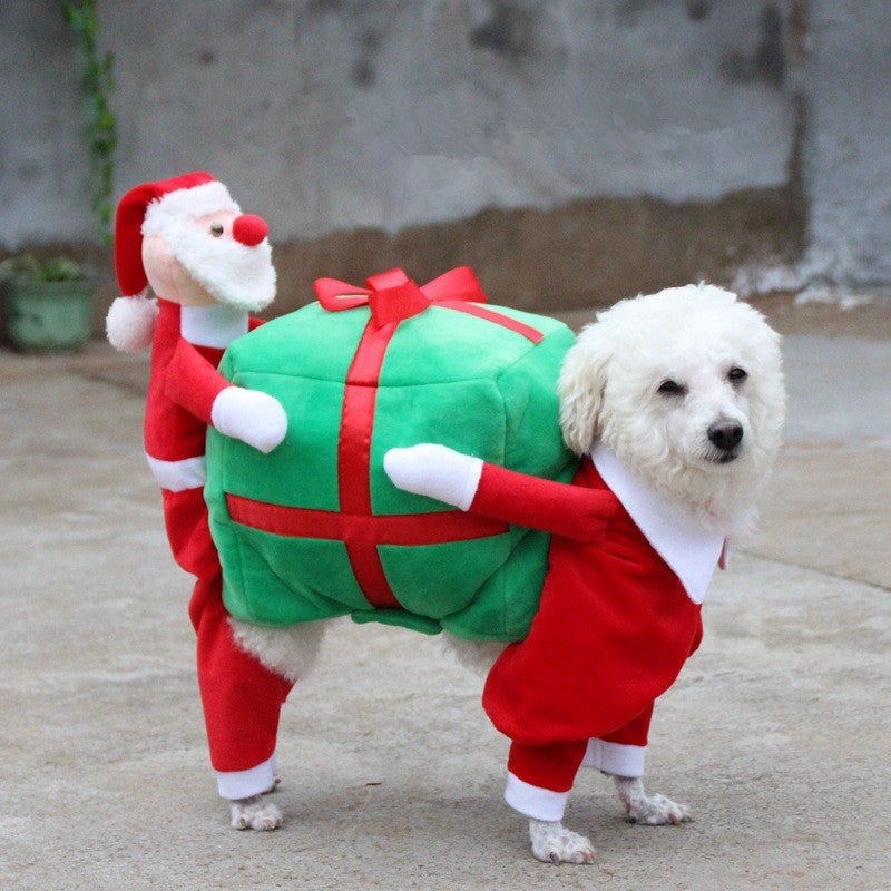 animals dressed in christmas costumes FUNNY DOGS IN CHRISTMAS COSTUME