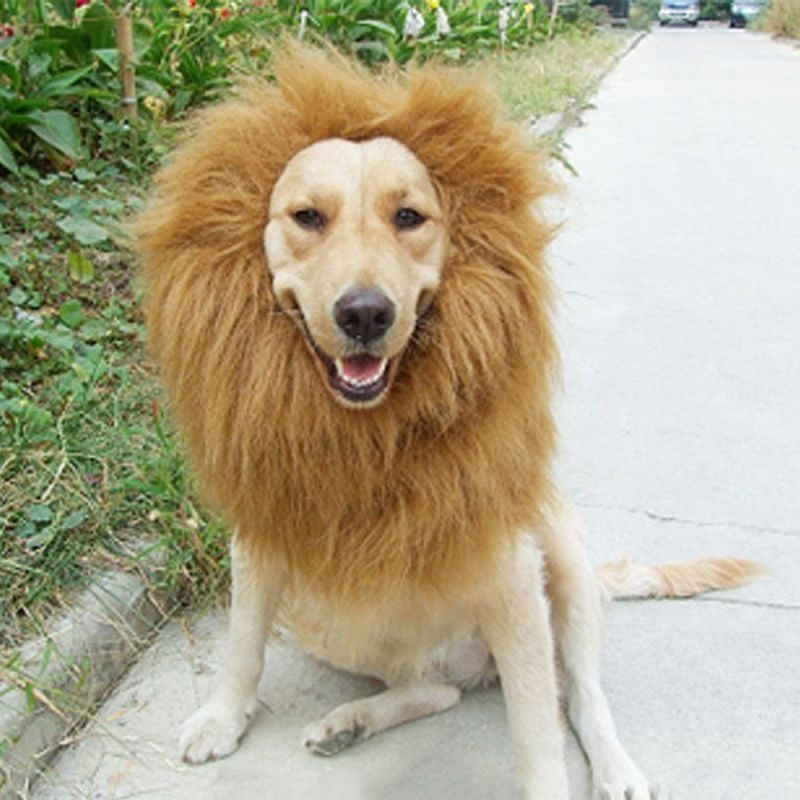 Lion Mane Wig