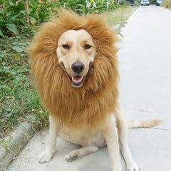 Lion Mane Wig