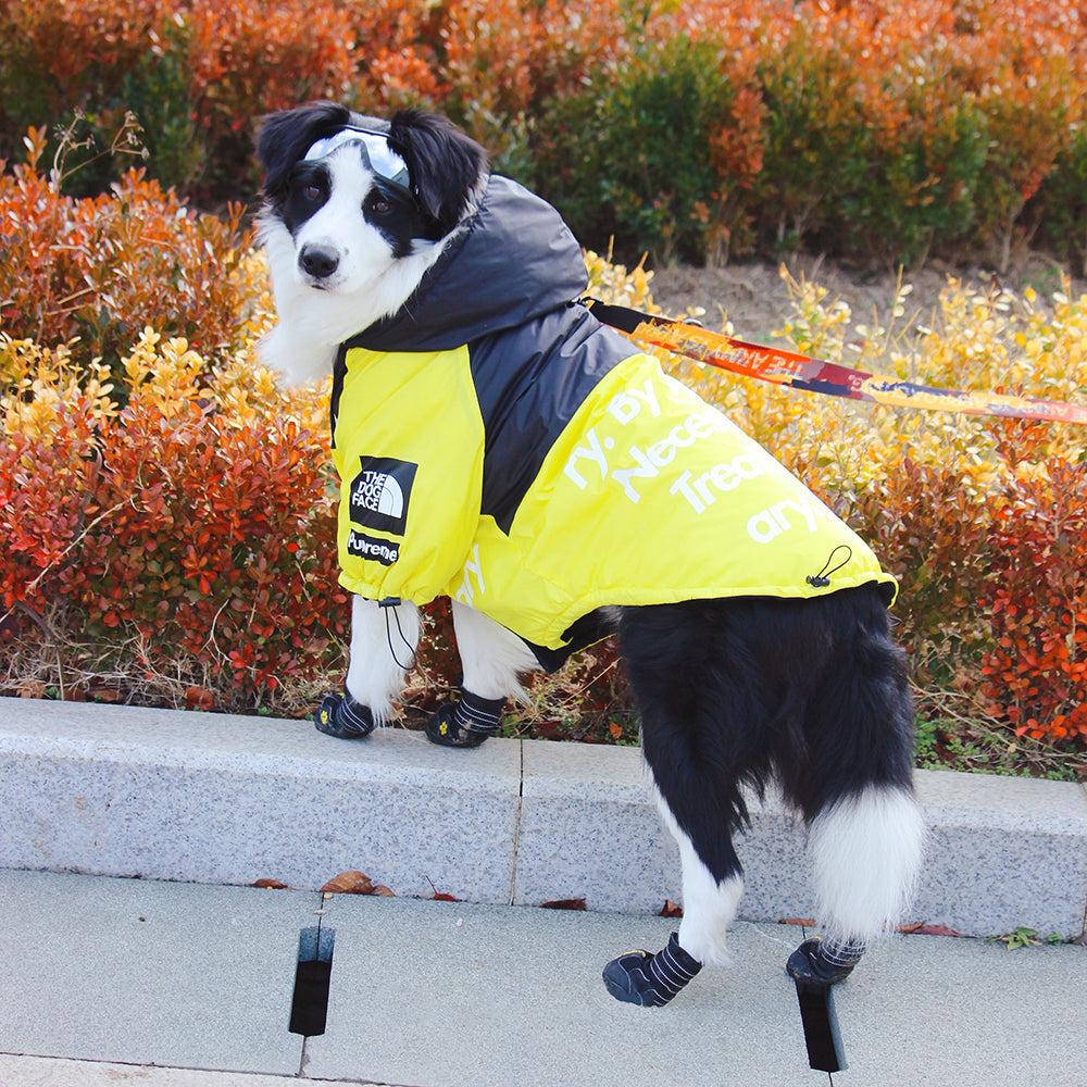 'The Dog Face' black and yellow coat S-5XL