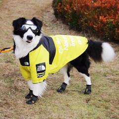 'The Dog Face' black and yellow coat S-5XL